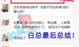 默契哥哥爆料视频大全,视频大全揭秘幕后真相