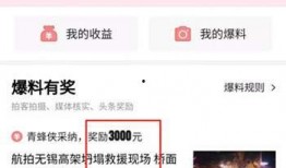 怎样爆料视频赚钱呢,轻松实现财富增长