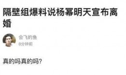 默契哥哥爆料视频大全,视频大全揭秘幕后真相